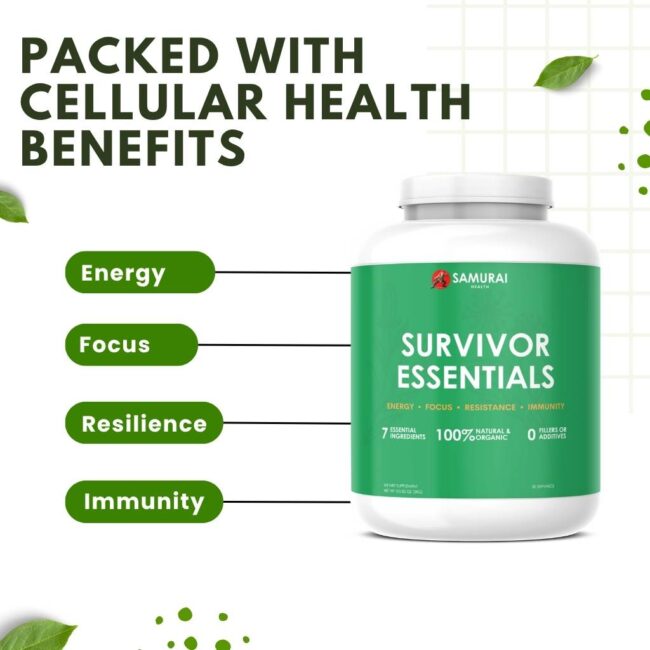 Survivor Essentials - Image 4