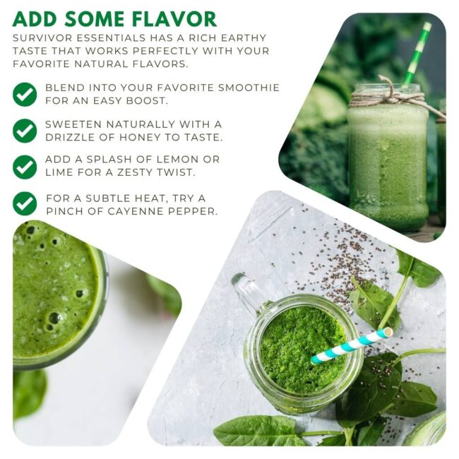 Survivor Essentials - Image 7