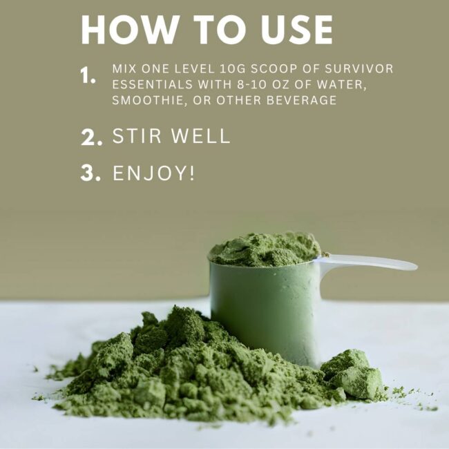 Survivor Essentials - Image 6